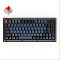 V1-C1-JIS Keychron V1 QMK カスタム・メカニカルキーボード ノブバージョン RGB - JIS配列（テンキーレス）-Keychron K Pro 赤軸 / フロステッドブラック（半透明）