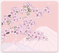 Aqua Control II-Sakura-Pink-XLS (500x500x4mm) xr-aqua-control2-sakura-pink-xls