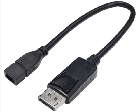 DPA-DPMB/CA20 (84748) Display Port → mini Display Port 変換アダプタ ☆6個まで￥250クリックポスト対応可能！