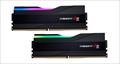 F5-8000J4048F24GX2-TZ5RK