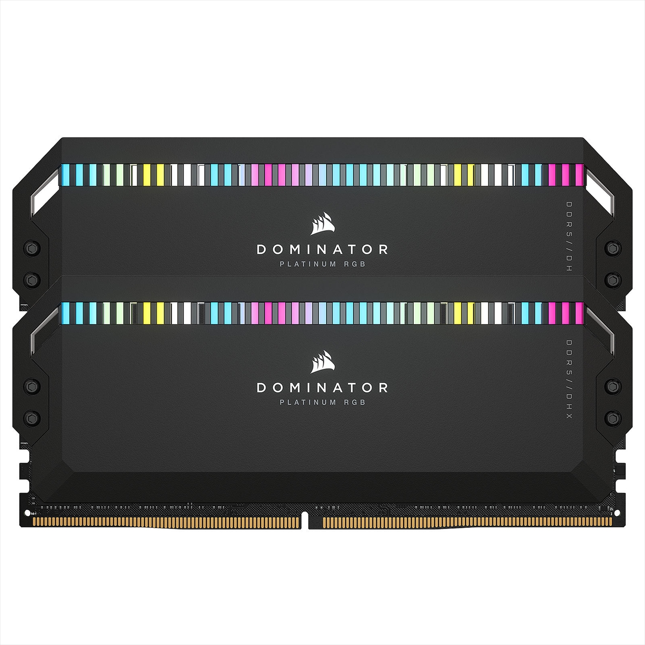 CMT64GX5M2B6600C32 DOMINATOR PLATINUM RGB | 288pin DDR5 SDRAM ...