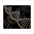 X-raypad Minerva DNA Gold Black XL (490x400x6mm) xr-minerva-dna-gold-black-xl