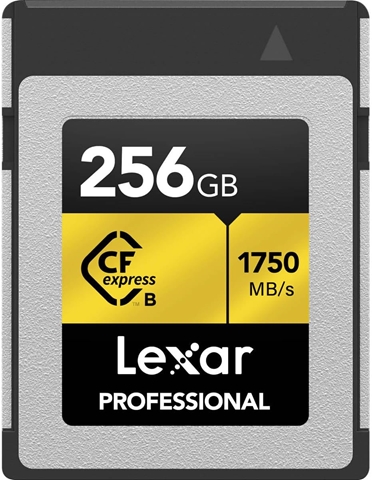 LCXEXPR256G-RNENG    海外輸入版 レキサー Professional GOLD シリーズ  ※対応機種間違いでのご返品はできかねます。