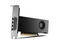 NVIDIA RTX 2000 Ada Retail 900-5G192-2541-000