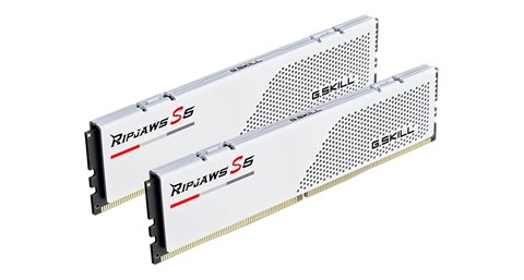 F5-5200J4040A24GX2-RS5W