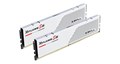 F5-5200J4040A24GX2-RS5W