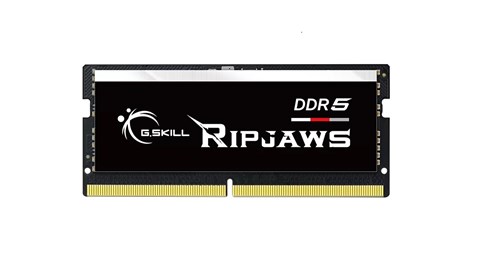 F5-5600S4645A48GX1-RS
