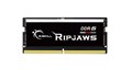 F5-5600S4645A48GX1-RS