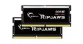 F5-5600S4645A48GX2-RS
