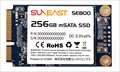SE800-m256GB ☆1個まで￥300ネコポス対応可能商品！※希少な mSATA　SSD