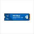 WDS100T4B0E