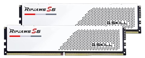 F5-6000J3648D16GX2-RS5W