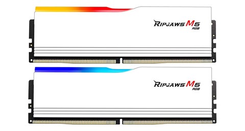 F5-6000J3648D16GX2-RM5RW