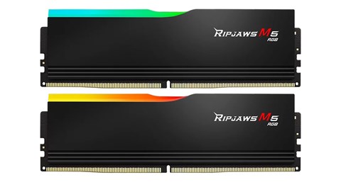 F5-6000J3648D16GX2-RM5RK