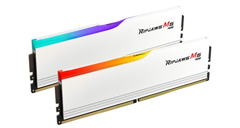 F5-6000J3636F16GX2-RM5RW