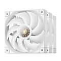 R-FT12-WHWPN3-G (FT12 WH 3 IN 1) 