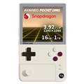 AYANEO POCKET DMGレトロカラー 16GB/1TB AYAPKDMG-16100-RC