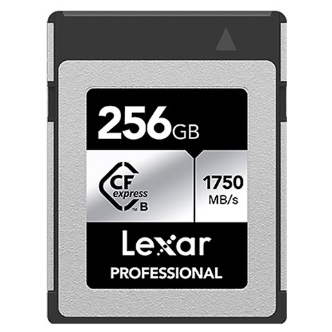 LCXEXSL256G-RNENC   海外輸入版 レキサー Professional SILVER シリーズ  ※対応機種間違いでのご返品はできかねます。
