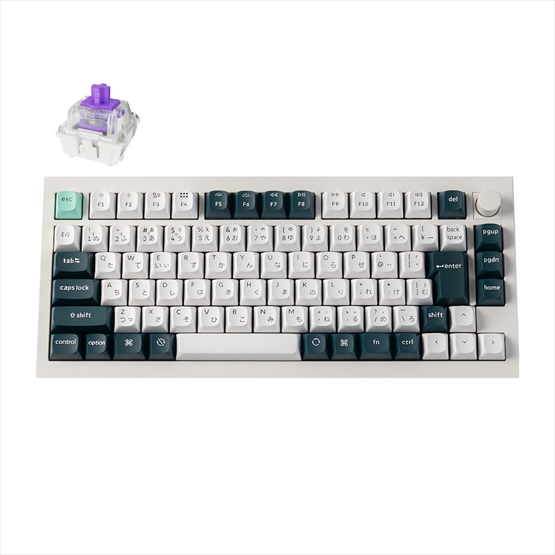 Q1H-P1-JIS Q1 HE マグネットスイッチ搭載 QMKワイヤレス・カスタムメカニカルキーボード - RGB - JIS配列（テンキーレス）- シェルホワイト / Gateron ダブルレール・マグネティックスイッチ Nebula（ホットスワップ）