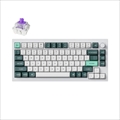 Q1H-P1-US Q1 HE マグネットスイッチ搭載 QMKワイヤレス・カスタムメカニカルキーボード - RGB - US配列（テンキーレス）- シェルホワイト / Gateron ダブルレール・マグネティックスイッチ Nebula（ホットスワップ）