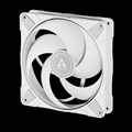 P14 Max (White) / ACFAN00304A 