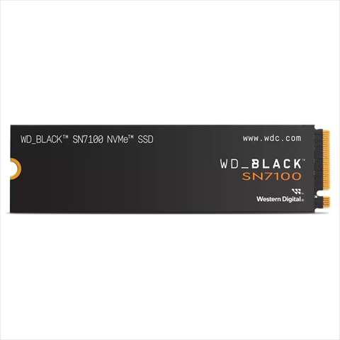 WDS100T4X0E