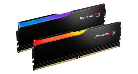 F5-6000J2836G32GX2-RM5RK