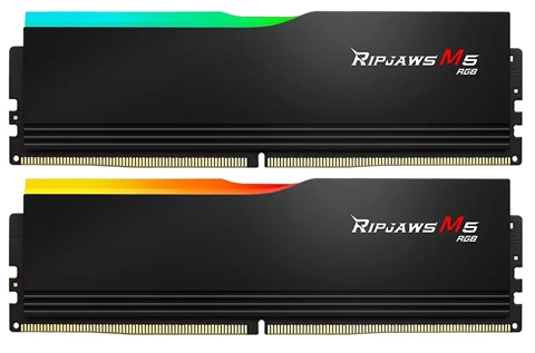 F5-6000J3036F48GX2-RM5RK