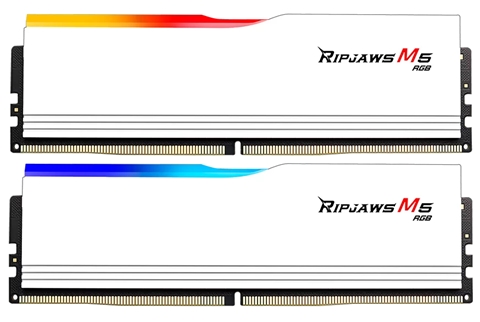F5-6000J3036F48GX2-RM5RW