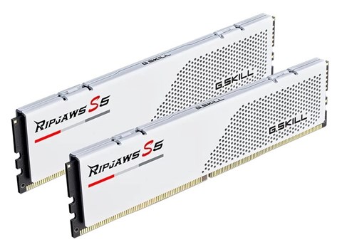 F5-6000J2836G16GX2-RS5W