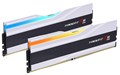 F5-6000J2836G16GX2-TZ5RW